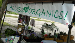 Photo of ACCESS to ORGANICS Booth at Bonner Center for Earth Day 2012