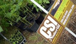 Photo of CSI Natural Compost, Mulch & TopSoil Sign and Organic Vegetables.