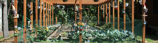 Photo of Backyard Garden in Edgewater, FL