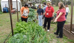 Photo of NSBHS Students visiting the Elk's Lodge Garden.