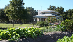 Photo of Red Maple Farm in Edgewater, FL